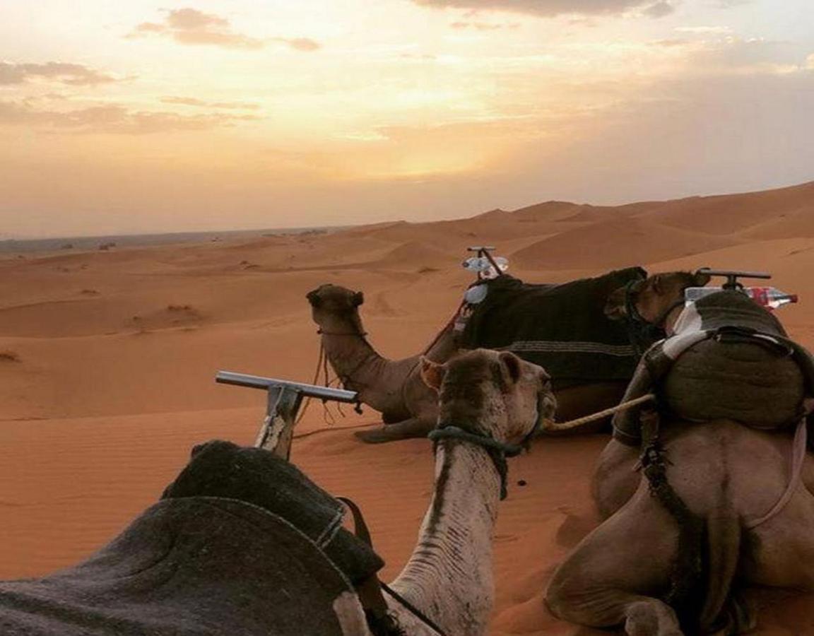 Camp Sahara Majestic Bed & Breakfast Мхамид Екстериор снимка